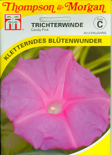 Trichterwinden Candy Pink NEU einj. T&M