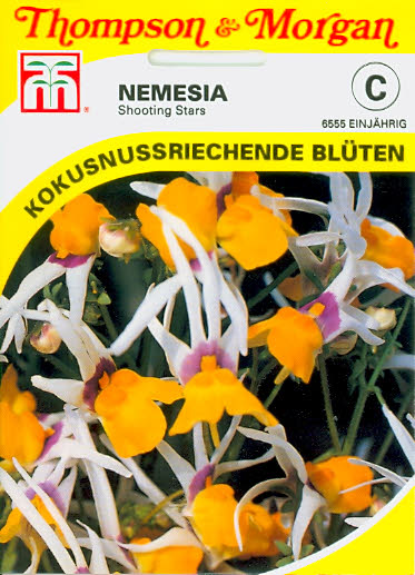 Nemesia Shooting Stars einj. Elfenspiegel