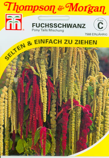 Amaranthus (Fuchsschwanz) Pony Tails GB einj. TMC Amaranthus (Fuchsschwanz) Pony Tails GB einj. TMC