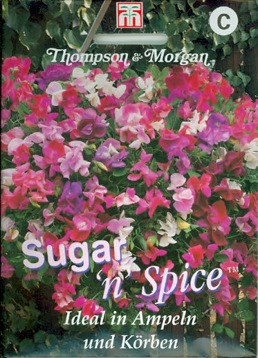 Wicken Gartenwicken Sugar 'n' Spice einj.Duftwicken