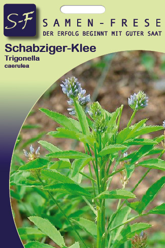 Schabzigerklee Brotklee Trigonella caerulea