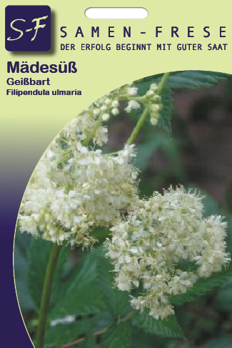 Mädesüß Filipendula ulmaria Wildpflanzen