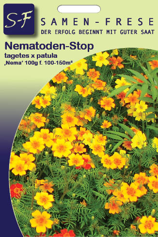 Tagetes gegen Bodenschädlinge Bodenkur für 100m²