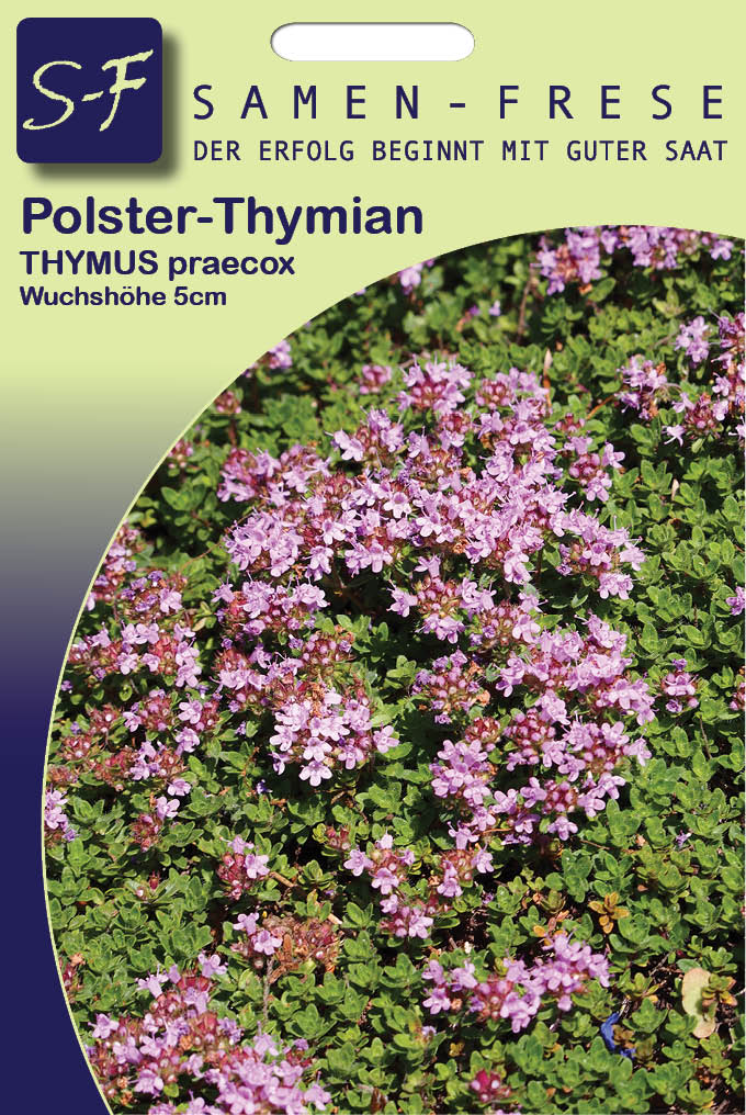 Polster-Thymian, Teppichthymian, Wollthymian  Thymus praecox