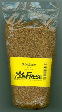 Luzerne Gründünger Alfalfa winterhart f. bis zu 100qm Luzerne Gründünger Alfalfa winterhart f. bis zu 100qm