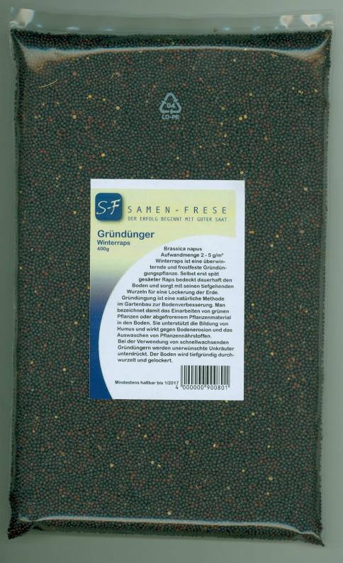Winterraps Gründünger für ca. 100 m²