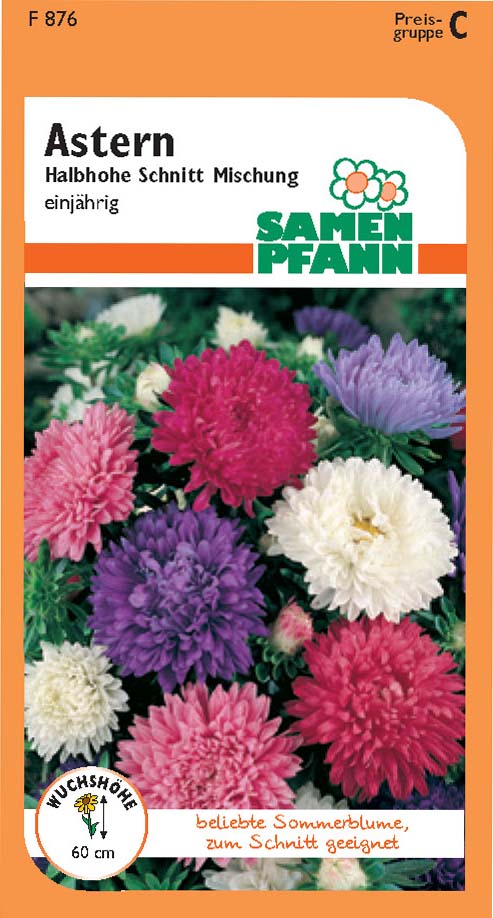 Aster Halbhohe Schnitt (B/C)
