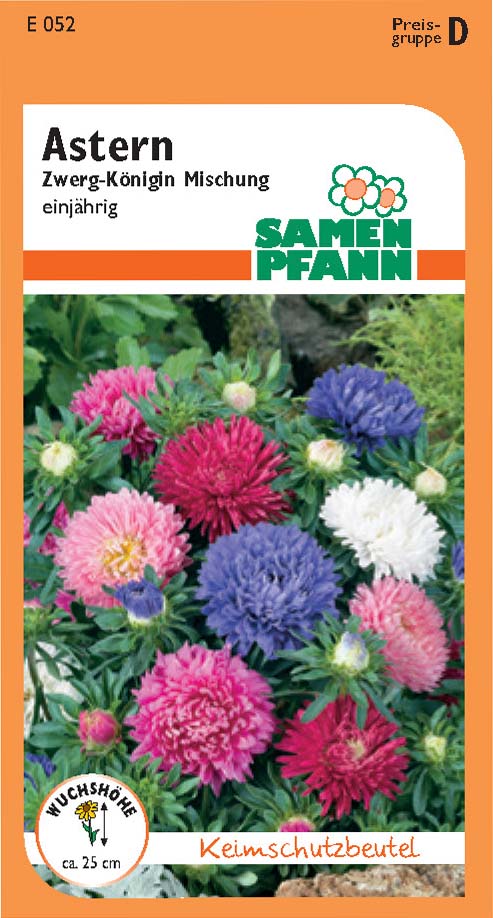 Aster Zwergkönigin Mischung (D/E)