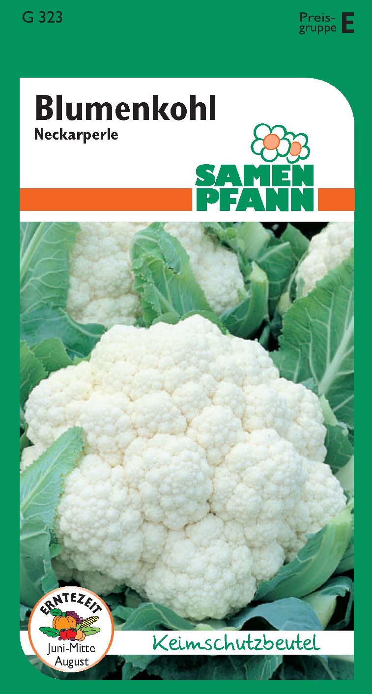 Blumenkohl Neckarperle (E)