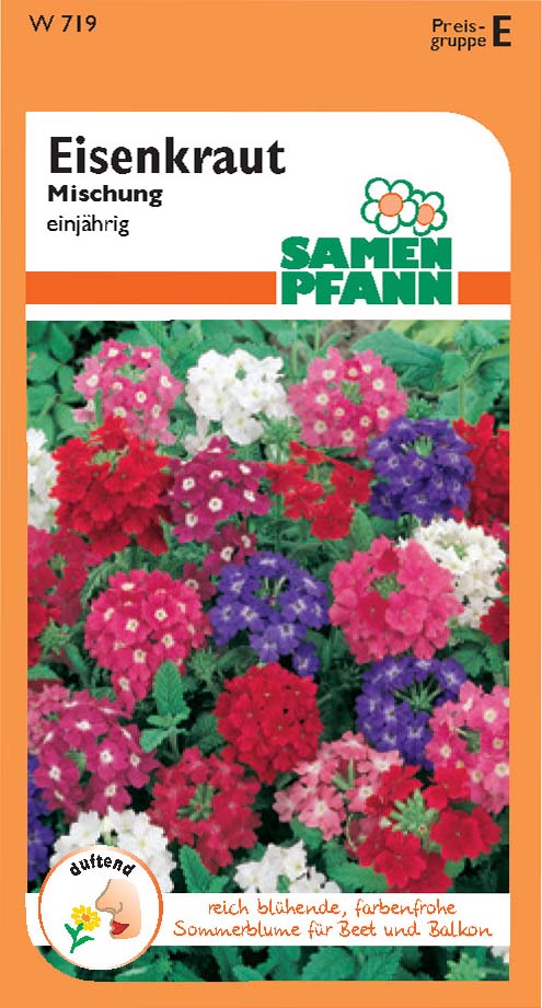Eisenkraut (Verbene) (E)