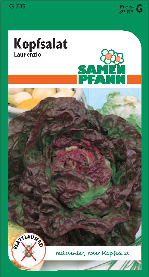 Kopfsalat Laurenzio (G)