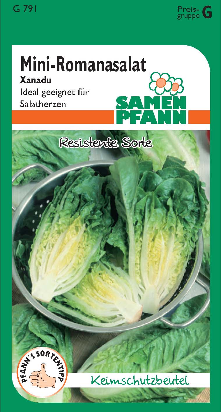 Mini-Romanasalat Xanadu (G)