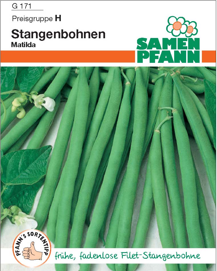 Stangenbohne Matilda (H)