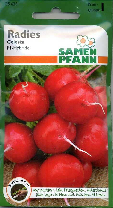 Radies CelestaSaatband  (I)