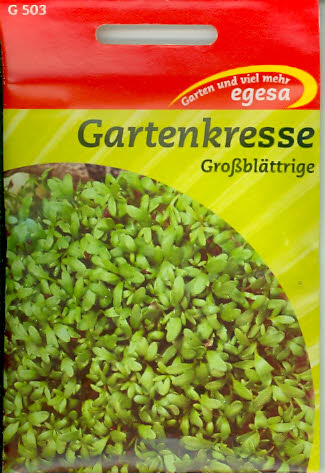 Kresse Großblättrige
