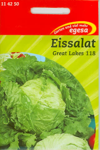 Kopfsalat Great Lakes 118