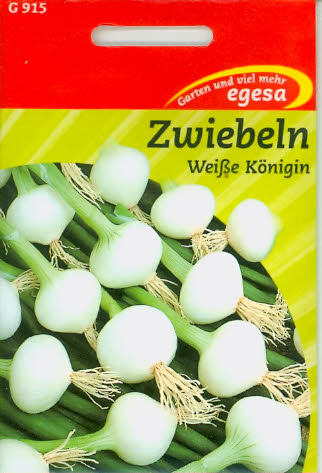 Perlzwiebeln Silberzwiebeln La Reine (Weiße Königin)