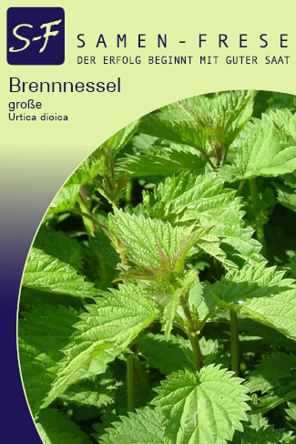 Brennessel Urtica dioica, große Brennnessel