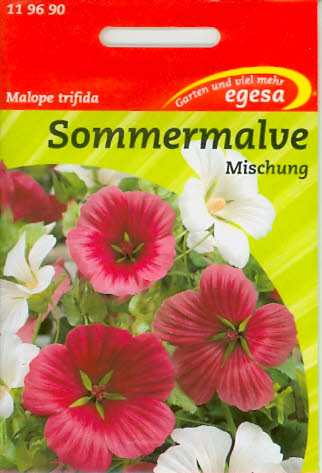 Malope trifida Malven Mischung
