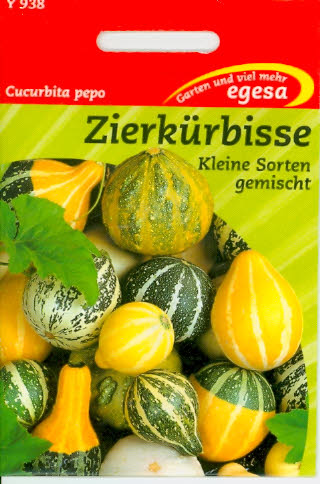 Zierkürbis kleine Sorten gemischt Curcubita pepo