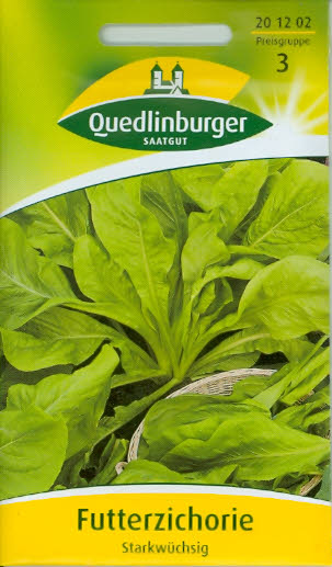 Futterzichorien (Blattzichorie) Wegwarte Q3