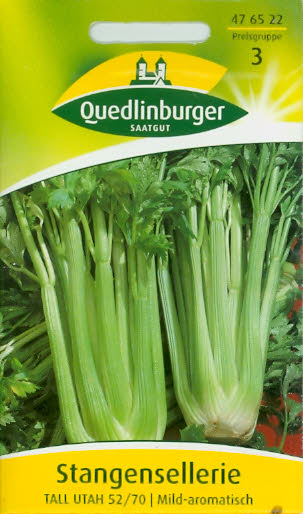 Stangensellerie Bleichsellerie Tall Utah 52/70 Q3