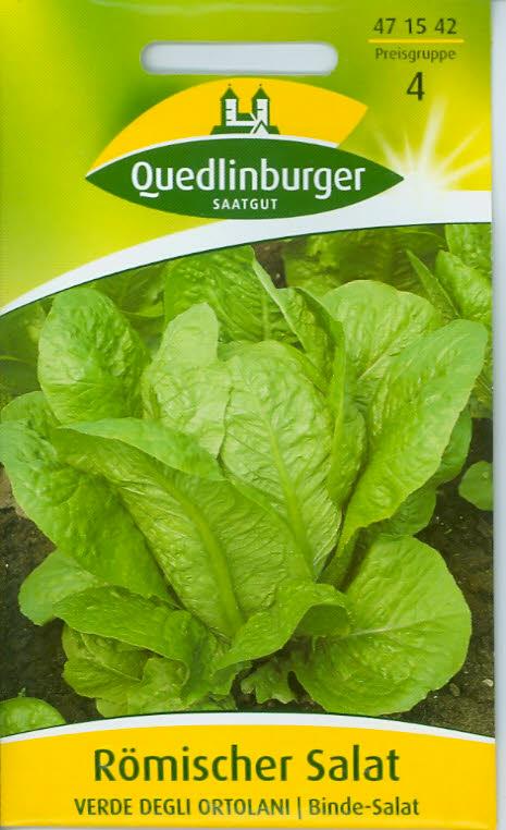 Römischer Salat, Verde degli ortolani (Q 4)
