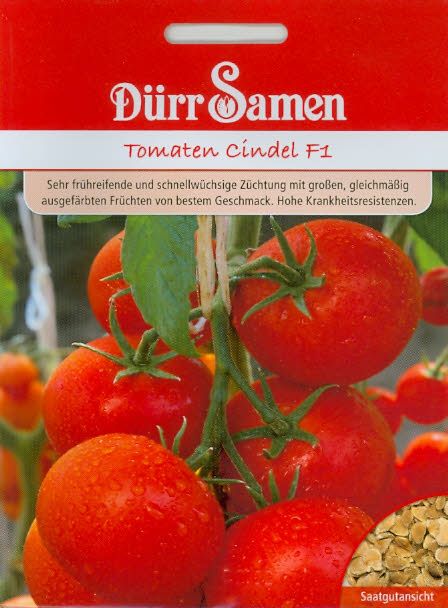 Tomaten Cindel F1 DÜ K