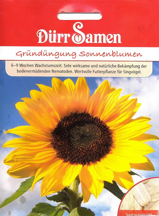 Bienennahrung Sonnenblumen (50 g für 10m²) (Dü G) Bienennahrung Sonnenblumen (50 g für 10m²) (Dü G)