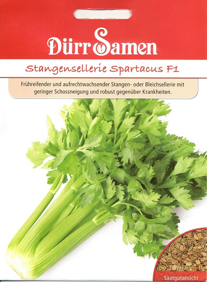 Stangensellerie Spartacus F1