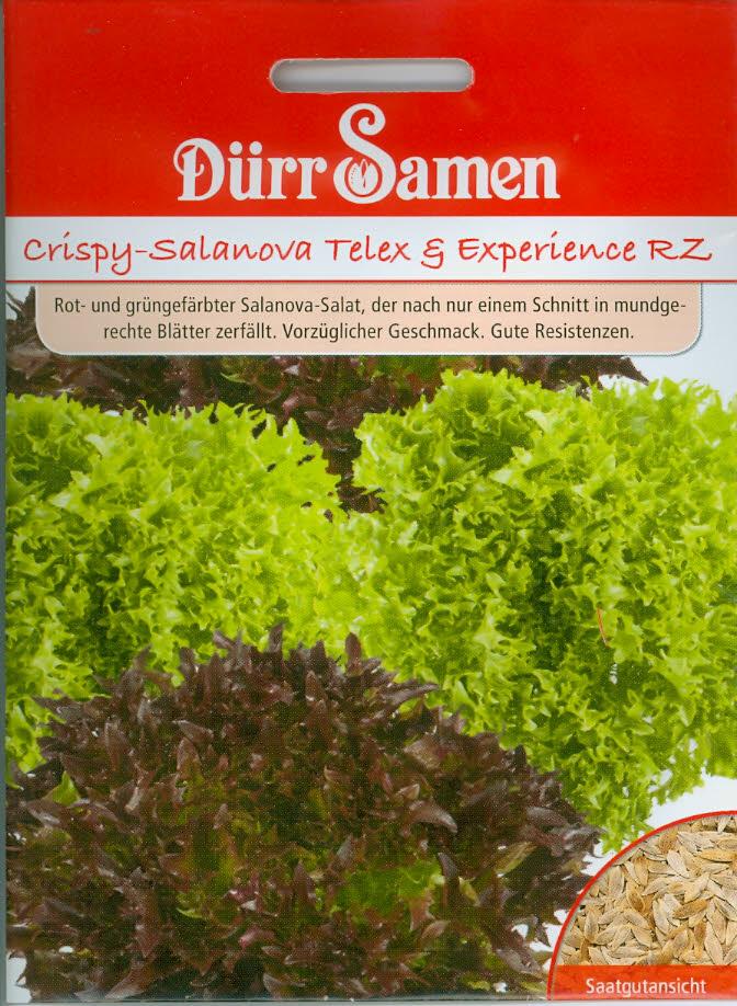 Crispy-Salanova Telex + Experience (Dü I)