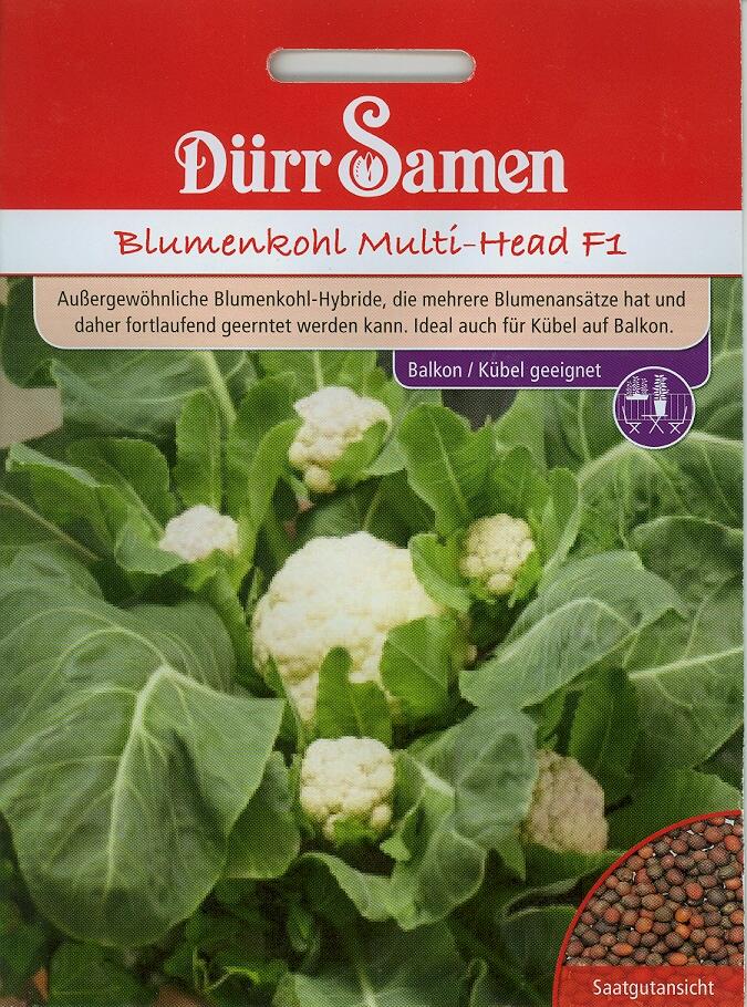 Mini-Blumenkohl Multi-Head F1 (Dü M)