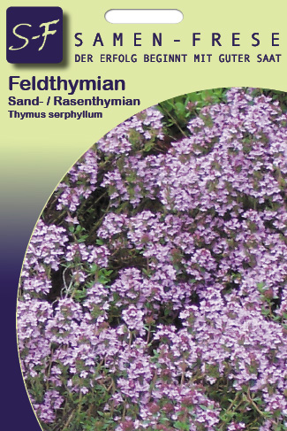 Quendel Feld-Thymian Sandthymian Thymus serpyllum (W420G)