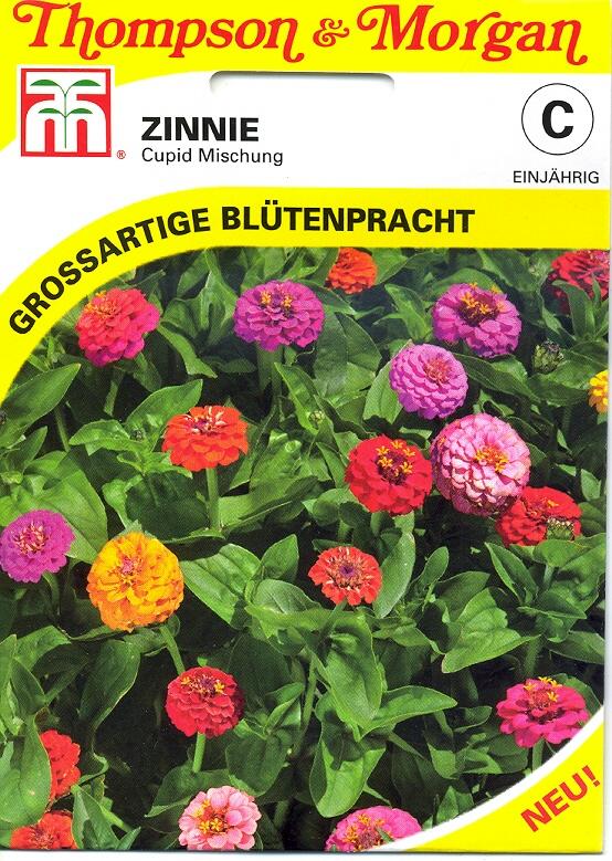 Zinnie Cupid Mischung (TM C)