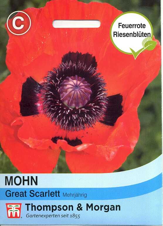 Mohn Great Scarlet (TM C)